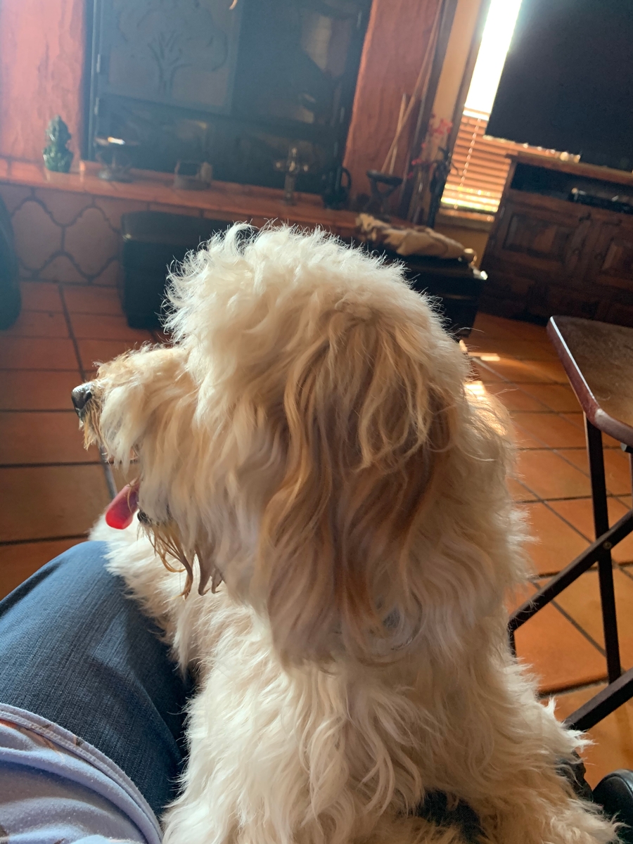 Nala