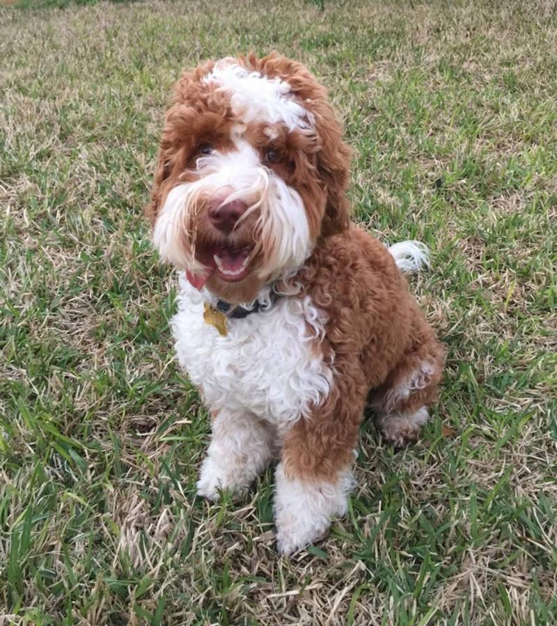 rusty