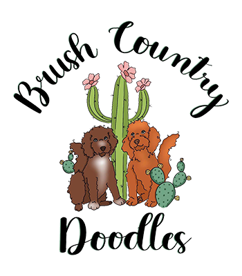 Brush Country Doodles
