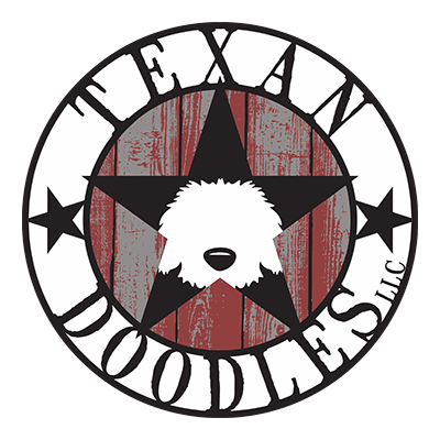 Texan Doodles